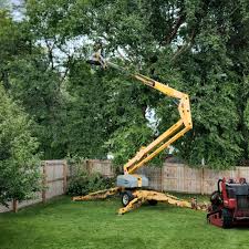 Lawn Grading and Leveling in Gloucester Point, VA
