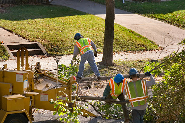 Best Aeration Services  in Gloucester Point, VA